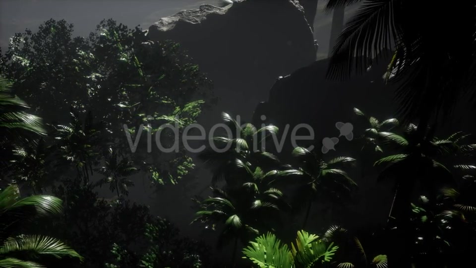 Sunset Beams Through Palm Trees - Download Videohive 21532044