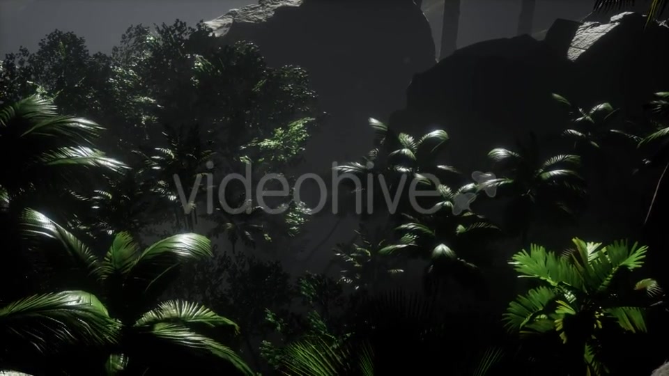 Sunset Beams Through Palm Trees - Download Videohive 21532044