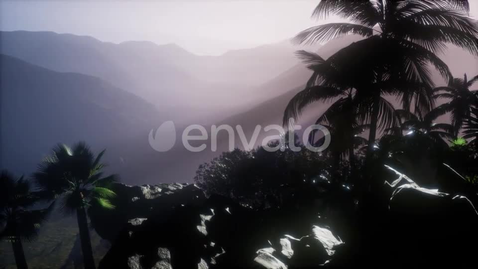 Sunset Beams Through Palm Trees - Download Videohive 21633674