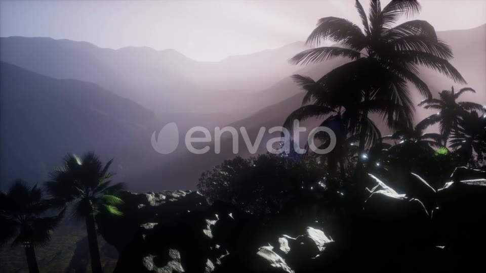 Sunset Beams Through Palm Trees - Download Videohive 21633674