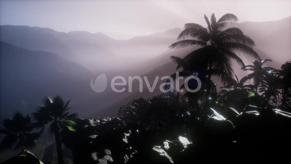 Sunset Beams Through Palm Trees - Download Videohive 21633674