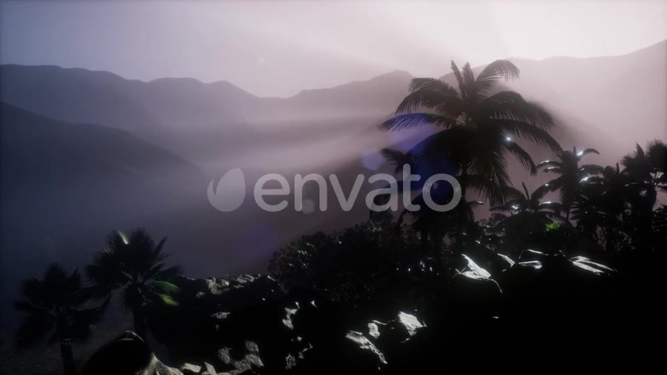 Sunset Beams Through Palm Trees - Download Videohive 21633674