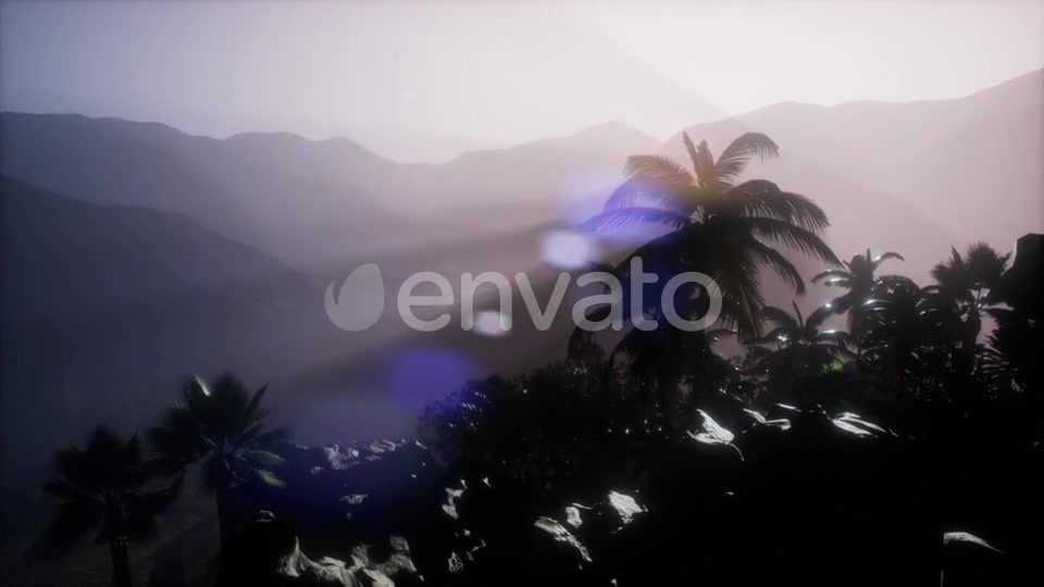 Sunset Beams Through Palm Trees - Download Videohive 21633674