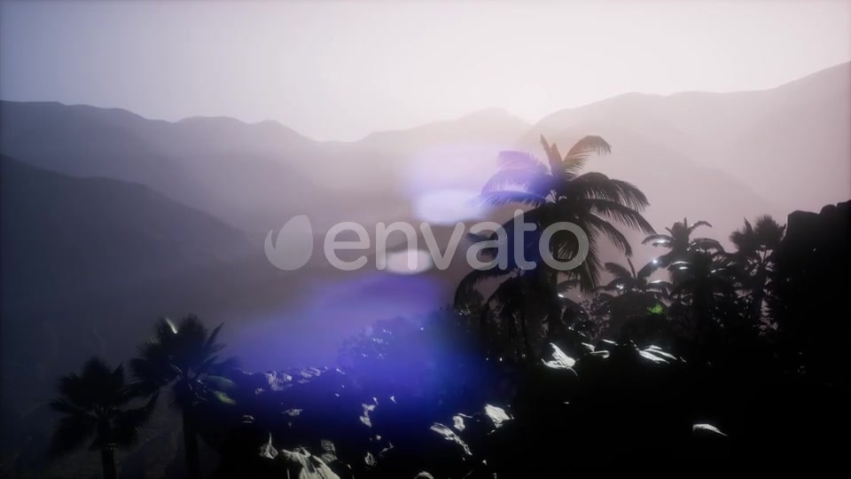 Sunset Beams Through Palm Trees - Download Videohive 21633674