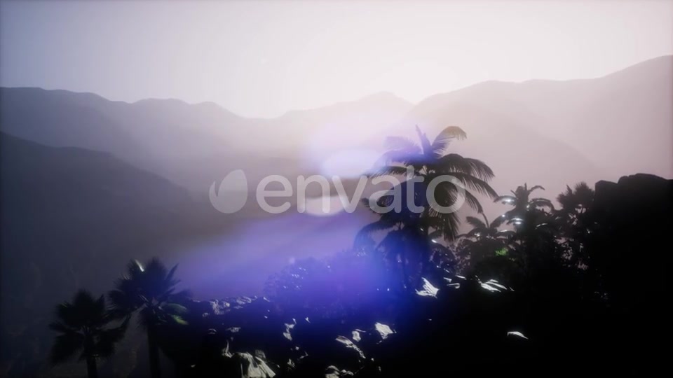 Sunset Beams Through Palm Trees - Download Videohive 21633674