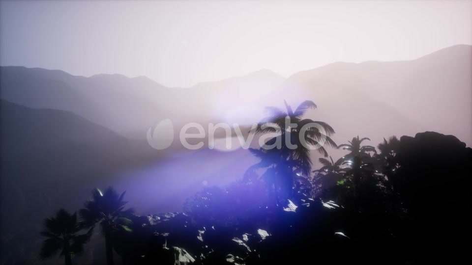 Sunset Beams Through Palm Trees - Download Videohive 21633674