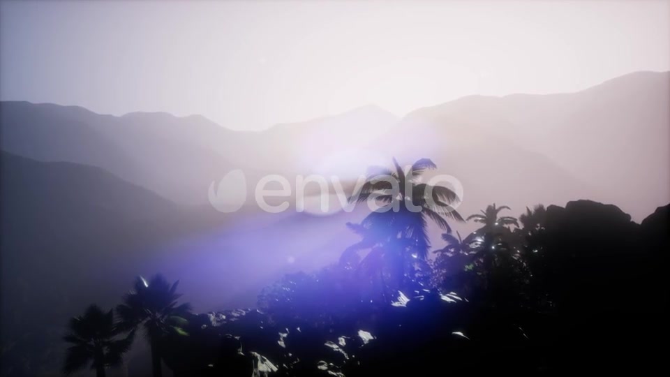 Sunset Beams Through Palm Trees - Download Videohive 21633674