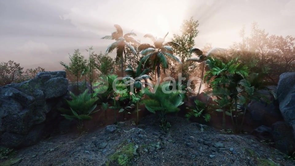 Sunset Beams Through Palm Trees - Download Videohive 21633682