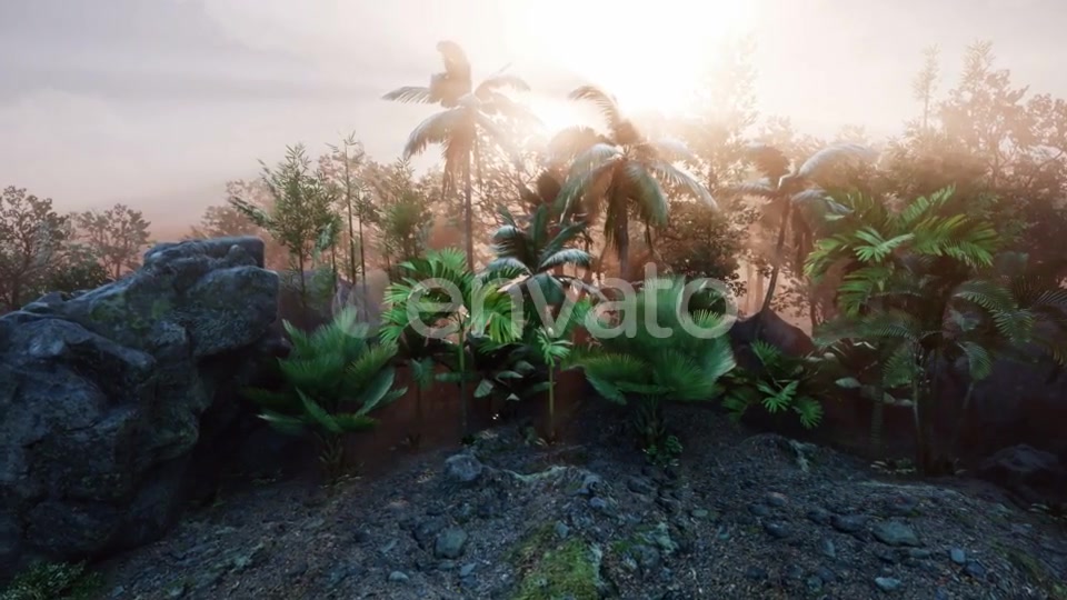 Sunset Beams Through Palm Trees - Download Videohive 21633682