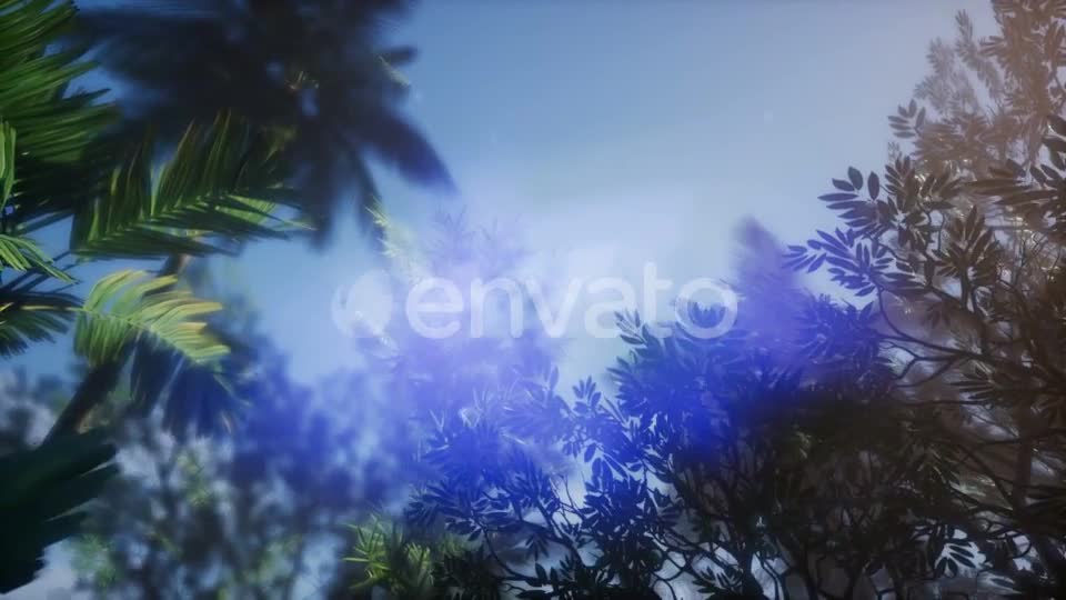 Sunset Beams Through Palm Trees - Download Videohive 21633698