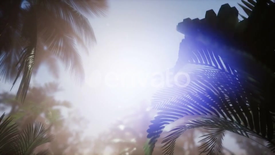 Sunset Beams Through Palm Trees - Download Videohive 21633698