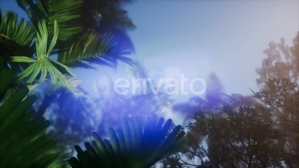 Sunset Beams Through Palm Trees - Download Videohive 21633698