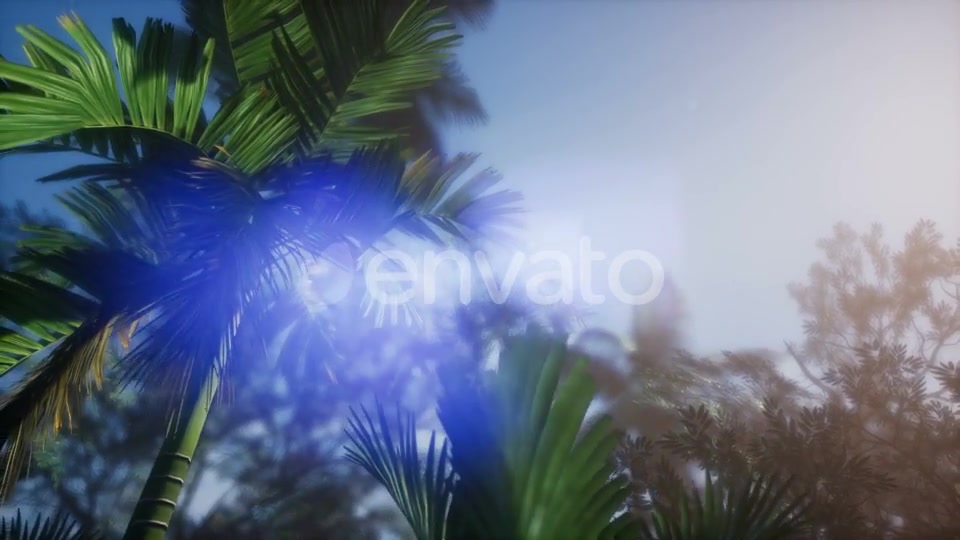 Sunset Beams Through Palm Trees - Download Videohive 21633698