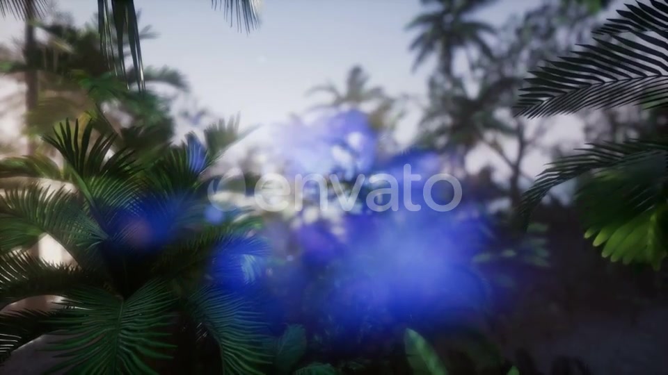 Sunset Beams Through Palm Trees - Download Videohive 21633869