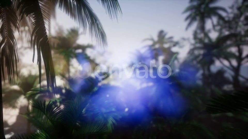 Sunset Beams Through Palm Trees - Download Videohive 21633869