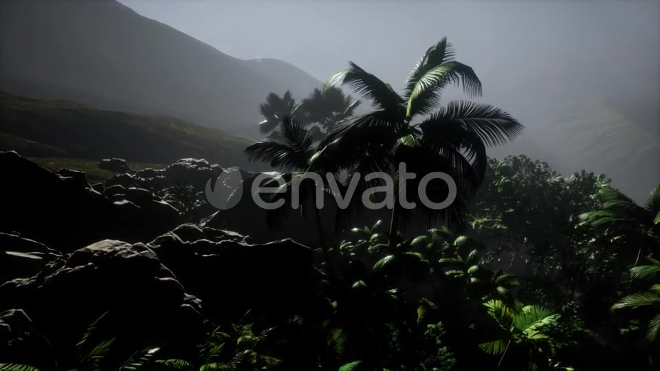 Sunset Beams Through Palm Trees - Download Videohive 21673003