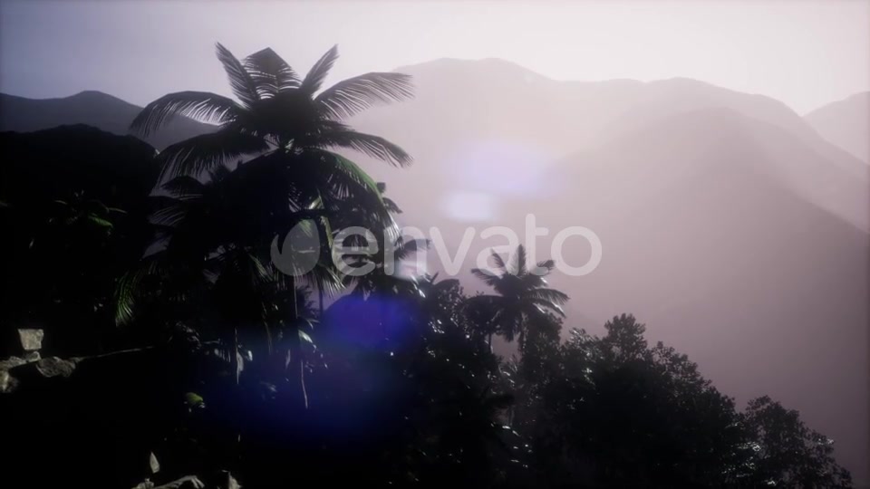 Sunset Beams Through Palm Trees - Download Videohive 21722458