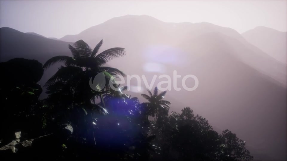 Sunset Beams Through Palm Trees - Download Videohive 21722458