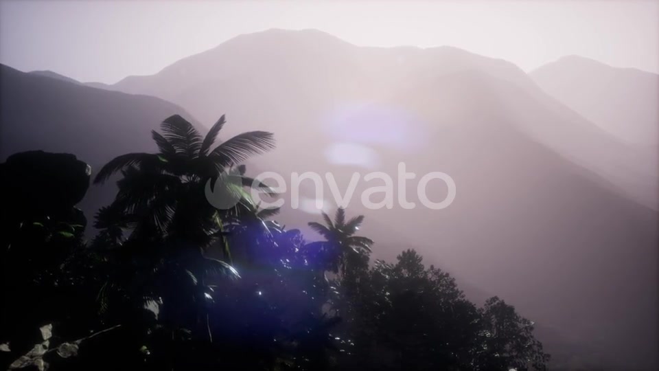 Sunset Beams Through Palm Trees - Download Videohive 21722458