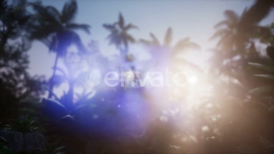 Sunset Beams Through Palm Trees - Download Videohive 21722570