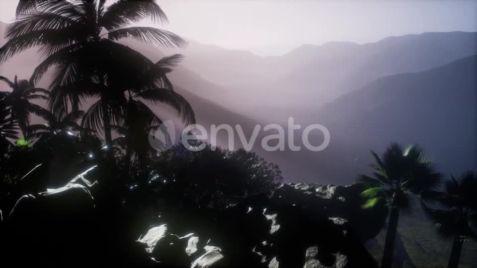 Sunset Beams Through Palm Trees - Download Videohive 21722812