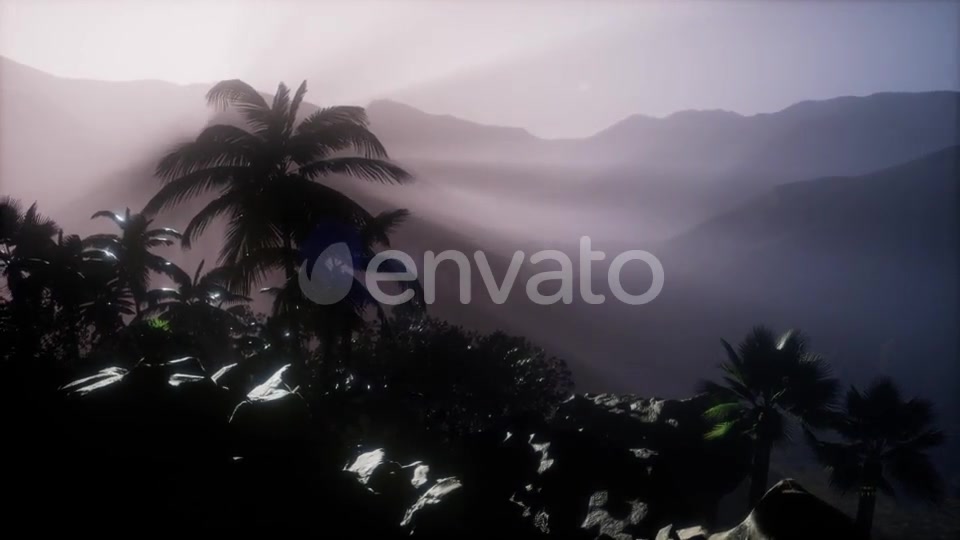 Sunset Beams Through Palm Trees - Download Videohive 21722812