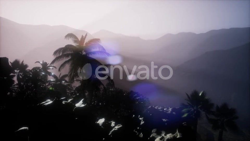 Sunset Beams Through Palm Trees - Download Videohive 21722812