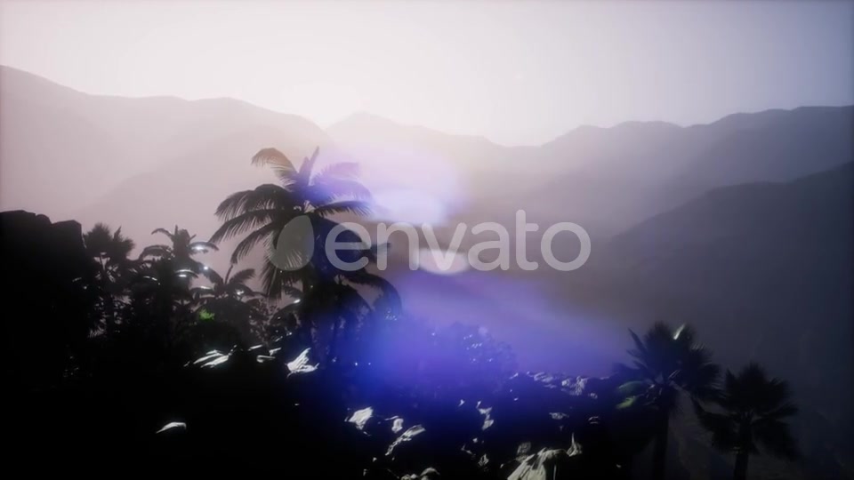 Sunset Beams Through Palm Trees - Download Videohive 21722812