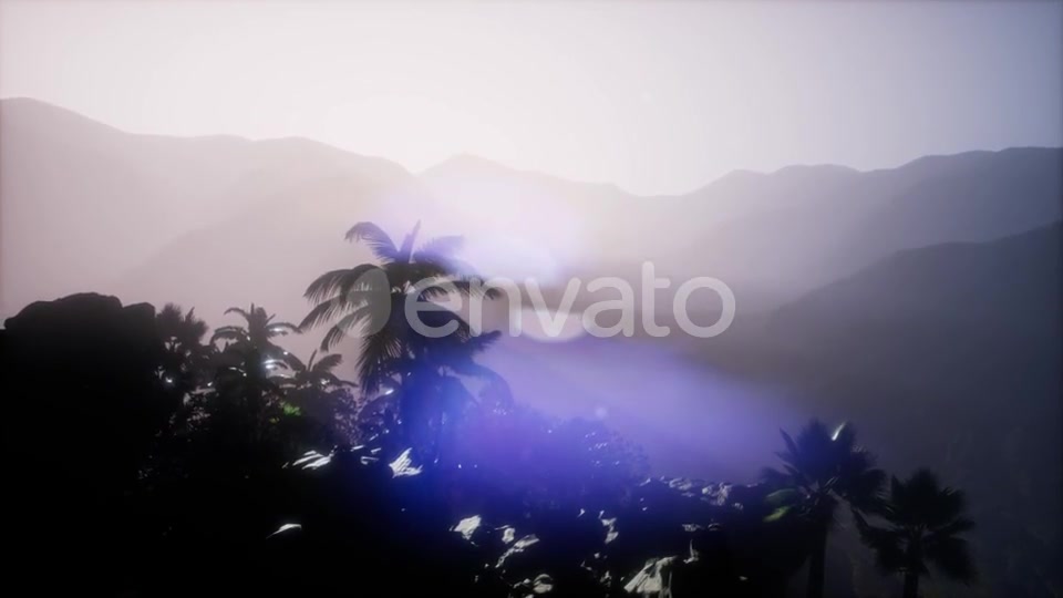 Sunset Beams Through Palm Trees - Download Videohive 21722812