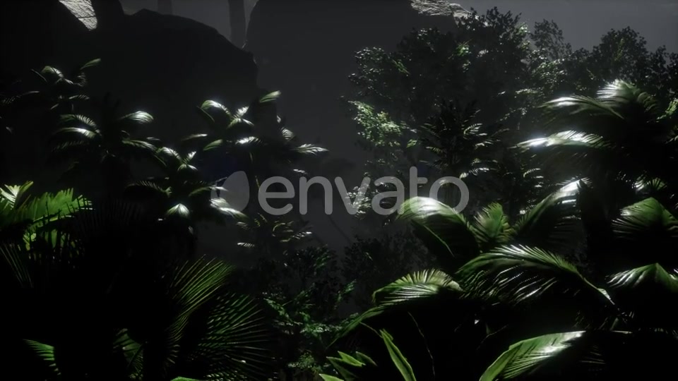 Sunset Beams Through Palm Trees - Download Videohive 21723009
