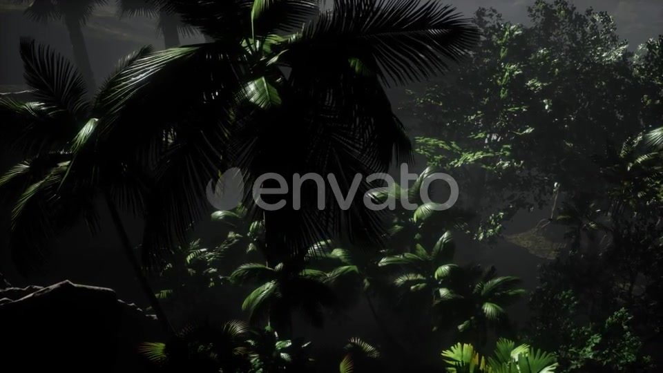 Sunset Beams Through Palm Trees - Download Videohive 21723009