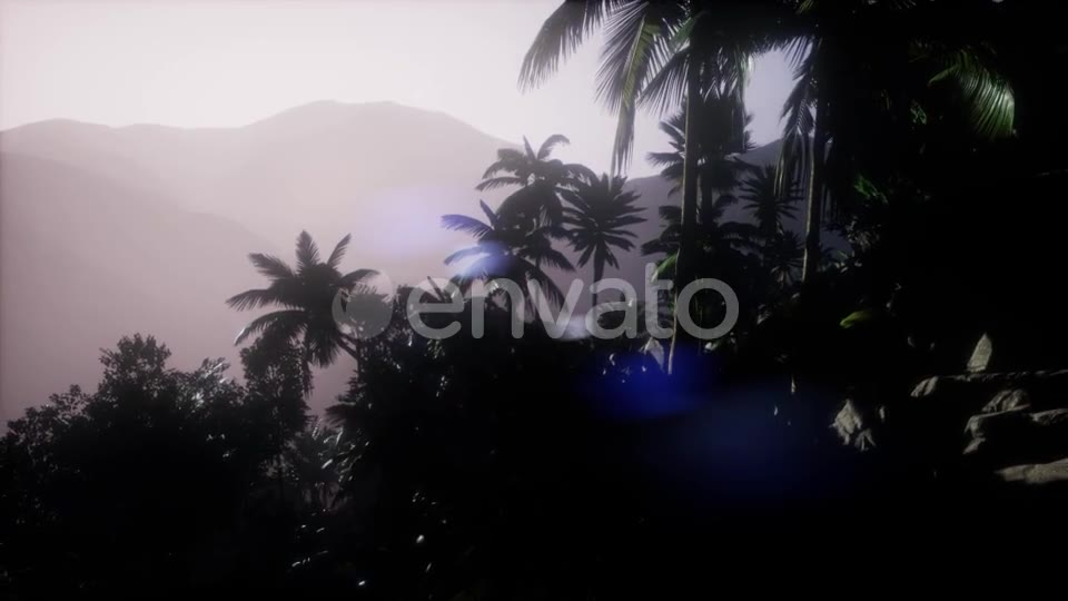 Sunset Beams Through Palm Trees - Download Videohive 21742690