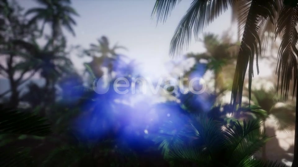 Sunset Beams Through Palm Trees - Download Videohive 21743224