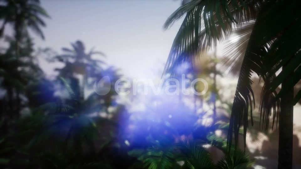 Sunset Beams Through Palm Trees - Download Videohive 21743224