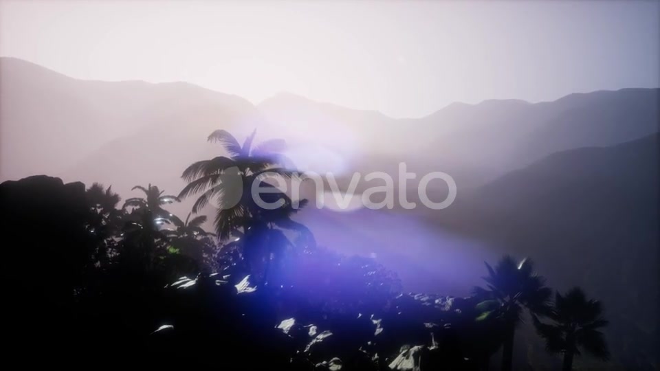 Sunset Beams Through Palm Trees - Download Videohive 21743269