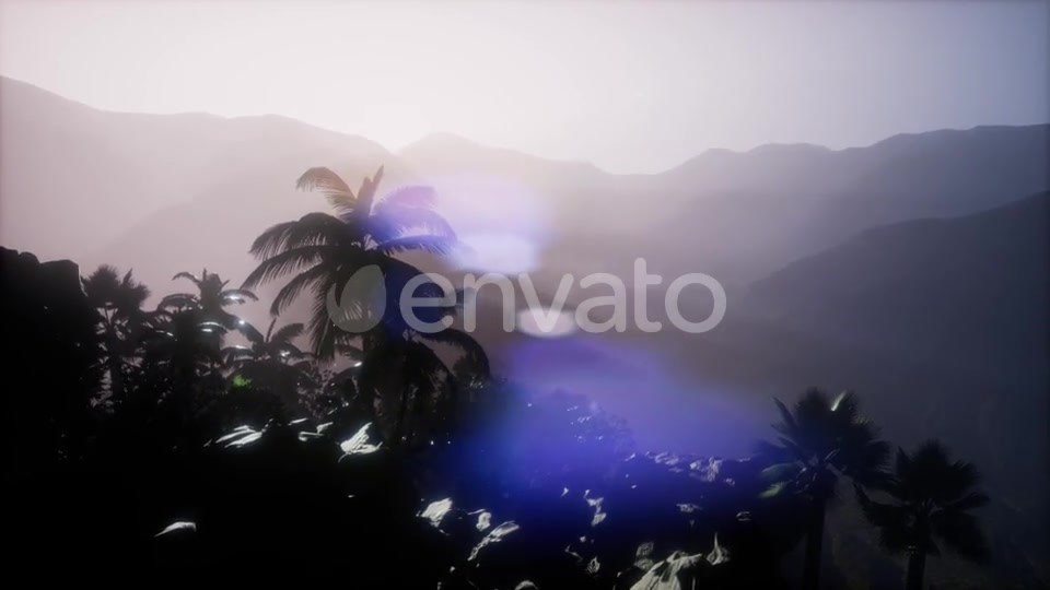 Sunset Beams Through Palm Trees - Download Videohive 21743269