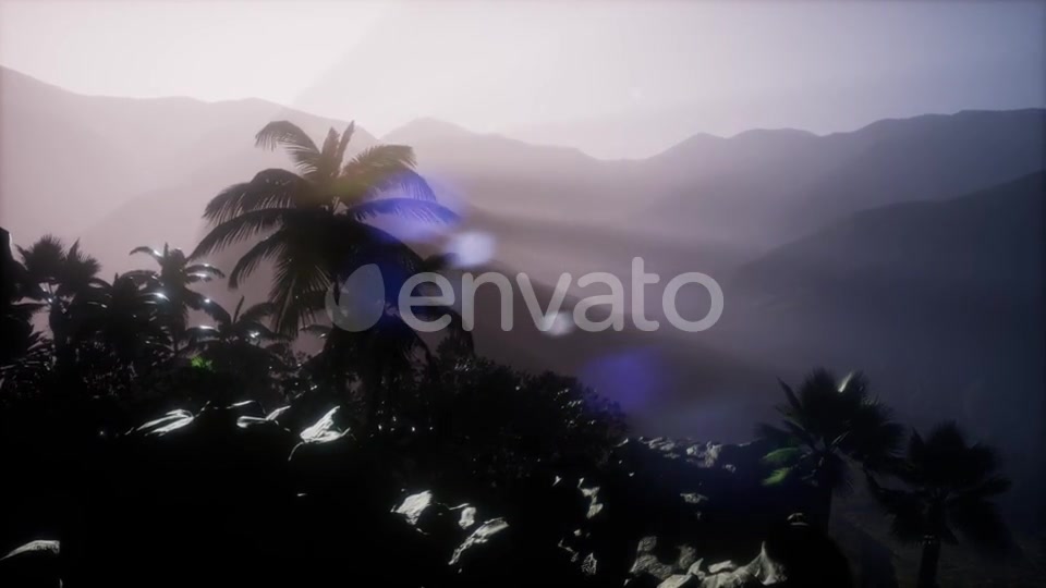 Sunset Beams Through Palm Trees - Download Videohive 21743269