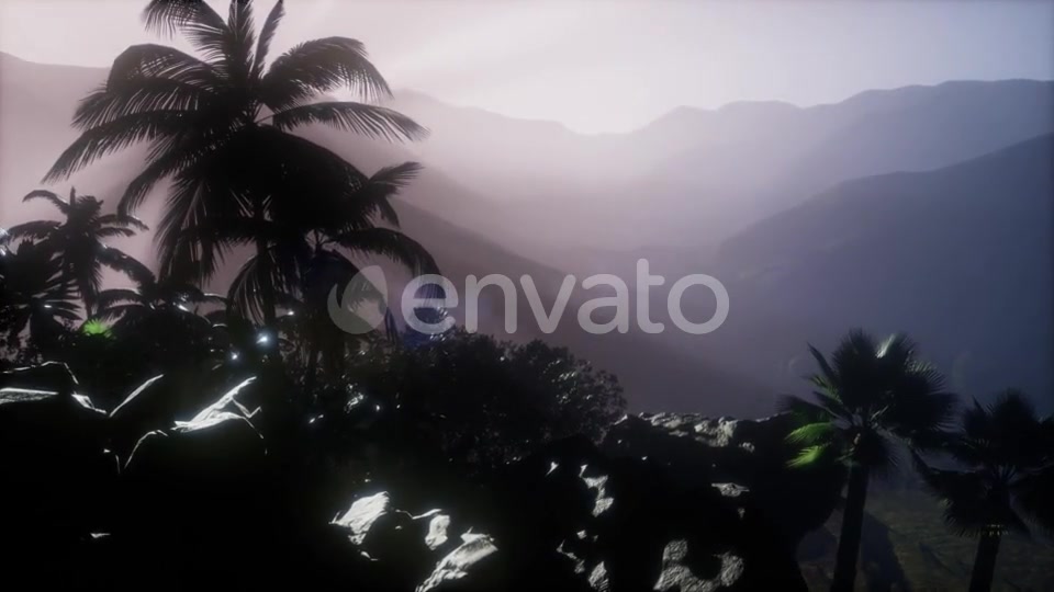 Sunset Beams Through Palm Trees - Download Videohive 21743269