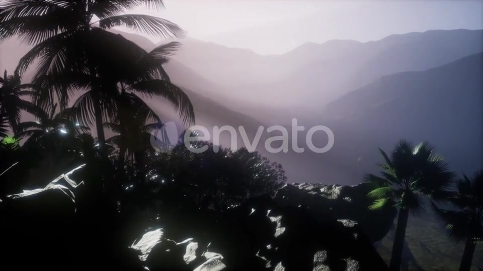 Sunset Beams Through Palm Trees - Download Videohive 21743269