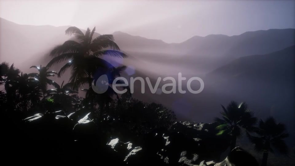 Sunset Beams Through Palm Trees - Download Videohive 21843729