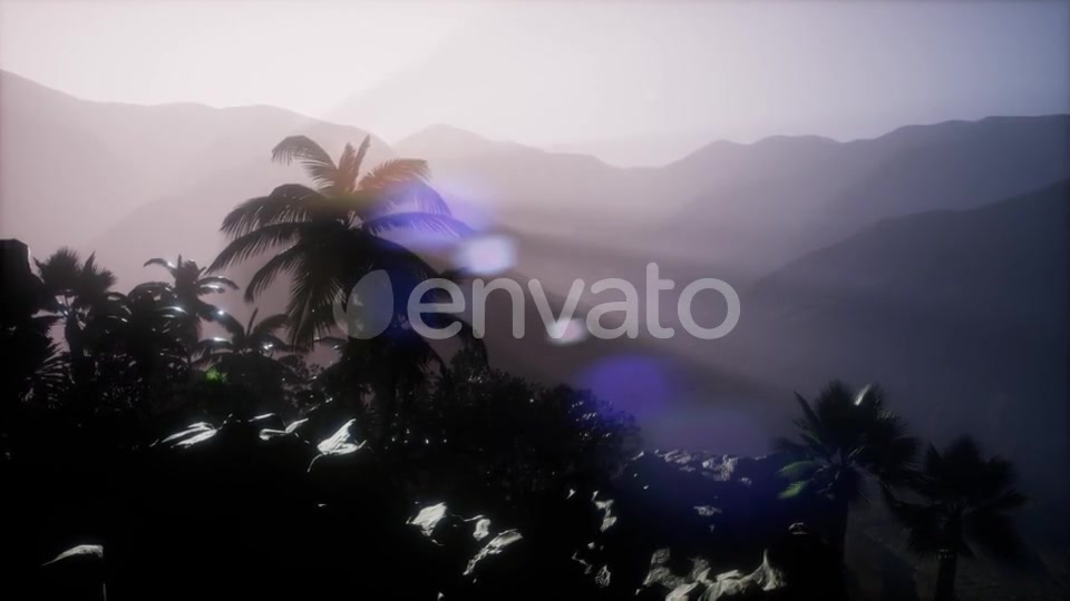 Sunset Beams Through Palm Trees - Download Videohive 21843729