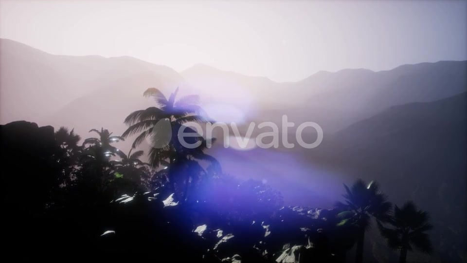 Sunset Beams Through Palm Trees - Download Videohive 21843729