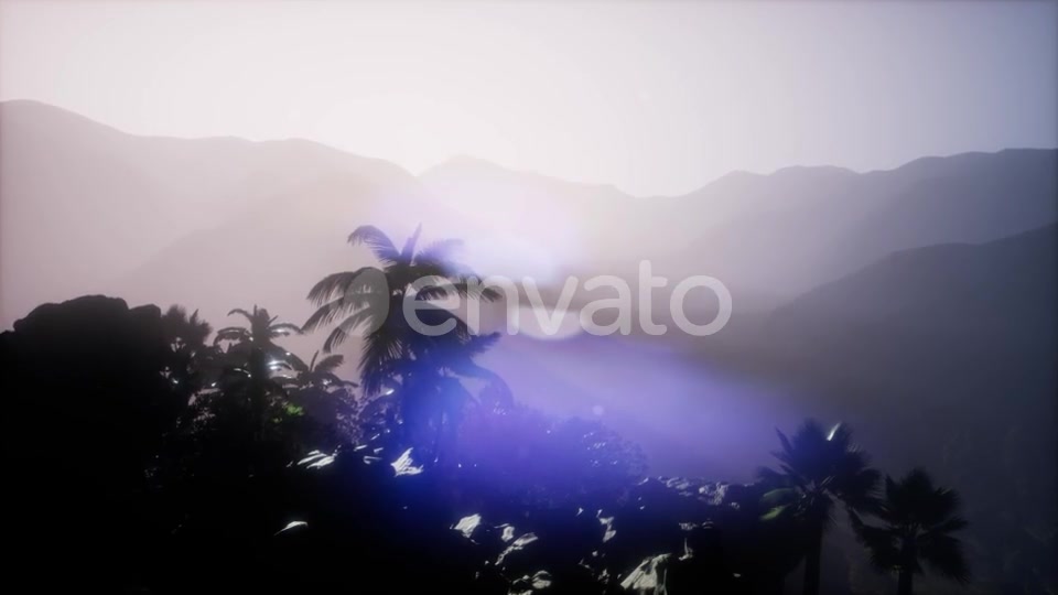 Sunset Beams Through Palm Trees - Download Videohive 21843729