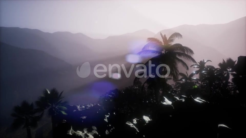 Sunset Beams Through Palm Trees - Download Videohive 21902224