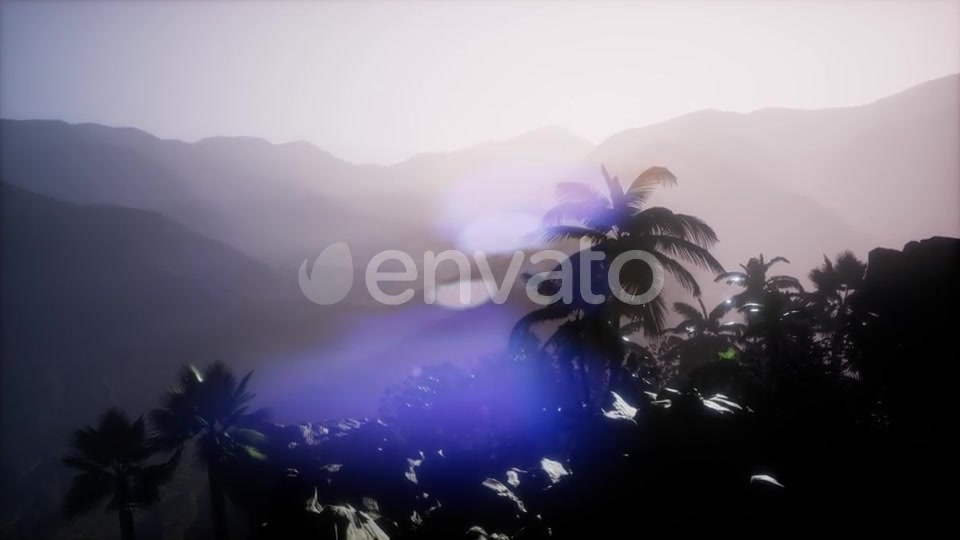 Sunset Beams Through Palm Trees - Download Videohive 21902224