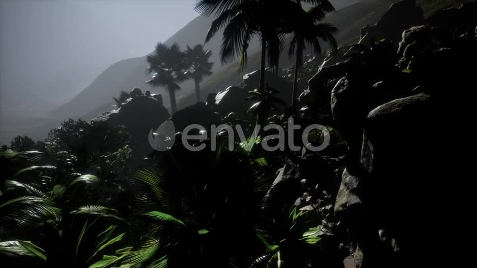 Sunset Beams Through Palm Trees - Download Videohive 21902298