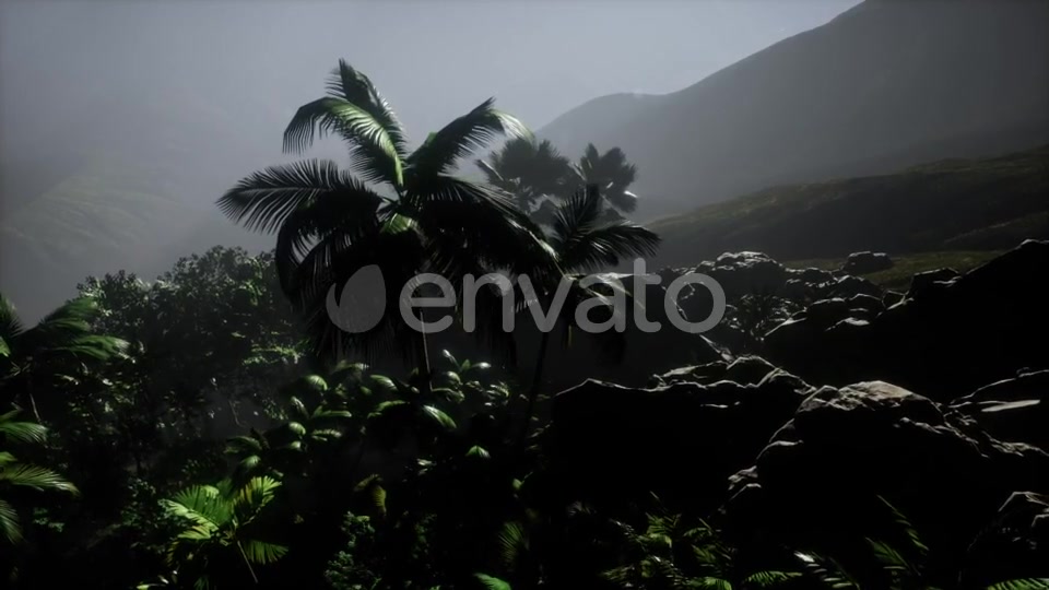 Sunset Beams Through Palm Trees - Download Videohive 21902298