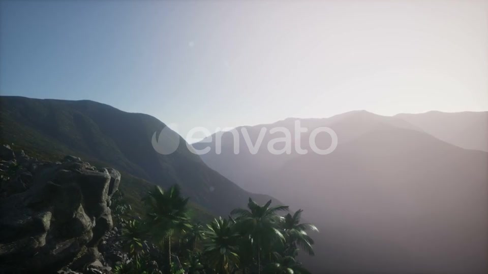 Sunset Beams Through Palm Trees - Download Videohive 21902610