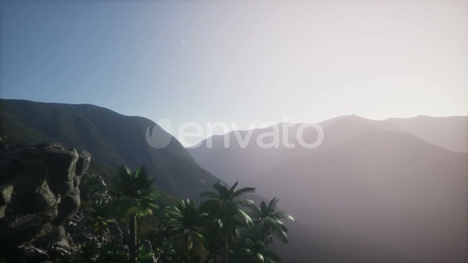 Sunset Beams Through Palm Trees - Download Videohive 21902610