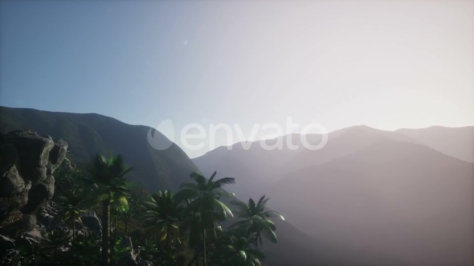 Sunset Beams Through Palm Trees - Download Videohive 21902610